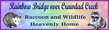 Crawdad Creek