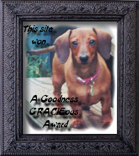 Goodness
Gracie Award