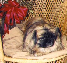 Muffi