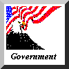 Government