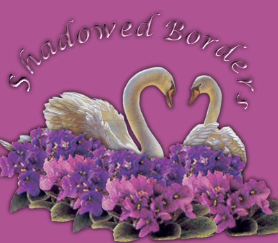 Title graphic