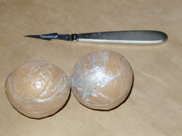 04290060.jpg