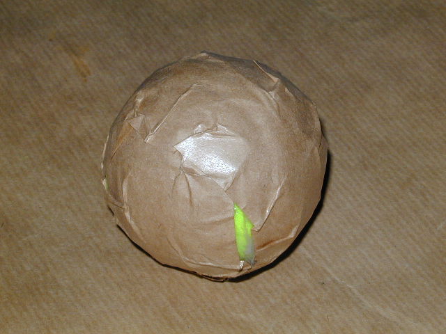 04290065.jpg