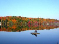 John Lanoue: Locke Pond October '03
