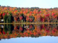 John Lanoue: Locke Pond October '03