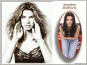 click to large pic.