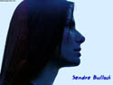 click to large pic.