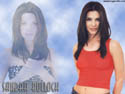 click to large pic.