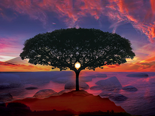 photomanipulation