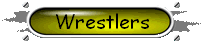 Information about other wrestlers