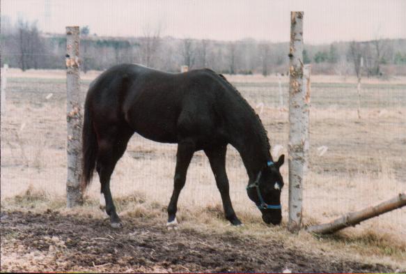 Flash Back Jack