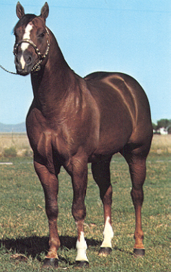 Beau Bonanza
