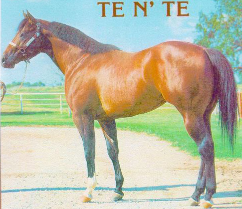 TE N TE