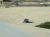 DSCF0006.JPG (85026 bytes)