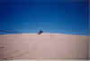 sandrail5b-jetty.jpg (25660 bytes)