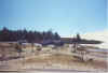 sandrail5c_big_boy.jpg (28406 bytes)