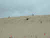 DSCF0011.JPG (38755 bytes)
