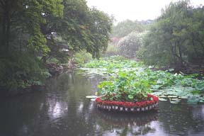 The Humble Administrator's Garden in Suzhou