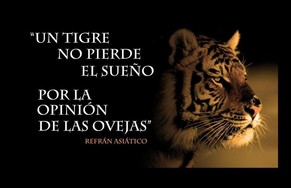 Aspiraciones de ser mejor