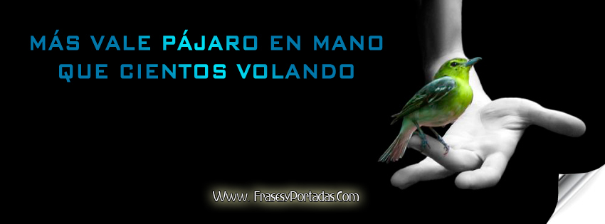 Toma una elección segura