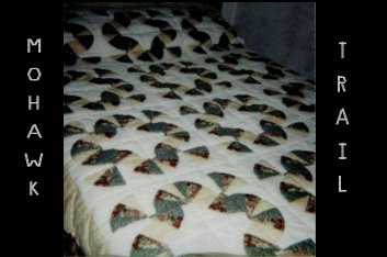 Made with 100% cotton fabrics-- machine pieced-- hand quilted