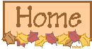 Home Button