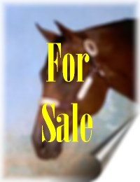 For Sale