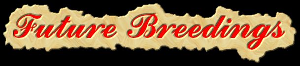 Breedings for 2009 Foals