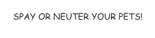 [Spay or Neuter--Please!]