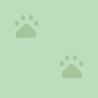 [Pawz12]