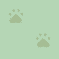 [Pawz14]