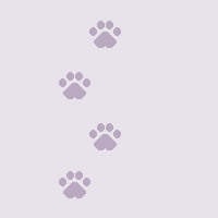 [Pawz18]