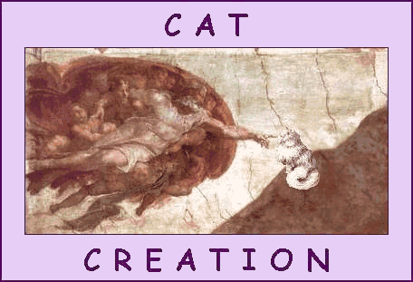 [Creation of Cat]