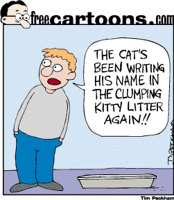 [Cat cartoon is from Tim!]