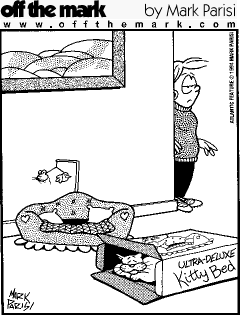 [Purrowl on over to 'off the mark' for more catoons!]