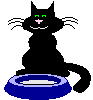 [CatStuff]