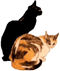 [Two cats]