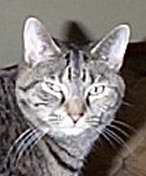 [Feebee owns my Sister and is Carly's daughter.]