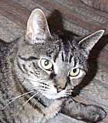 [Woozy owns my Sister and is Carly's daughter.]