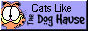 [The Dog Hause]