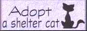 [Please 
save a life! - Adopt your next pet from your local shelter!]