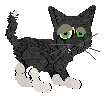 warwick-b.gif (3184 bytes)