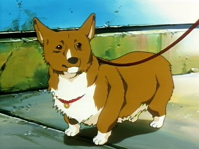 Ein