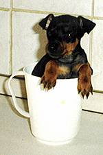 To you think they can drink me .........