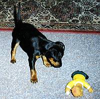 hey - you - want to play ............