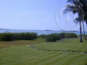 View from Lanai