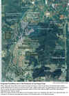 projected.jpg (385112 bytes)