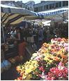 The Market