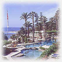 The Pool
