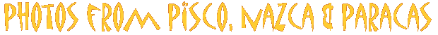 pisco-banner.gif (4807 bytes)